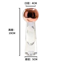 Micro-Flawed Glass Vase